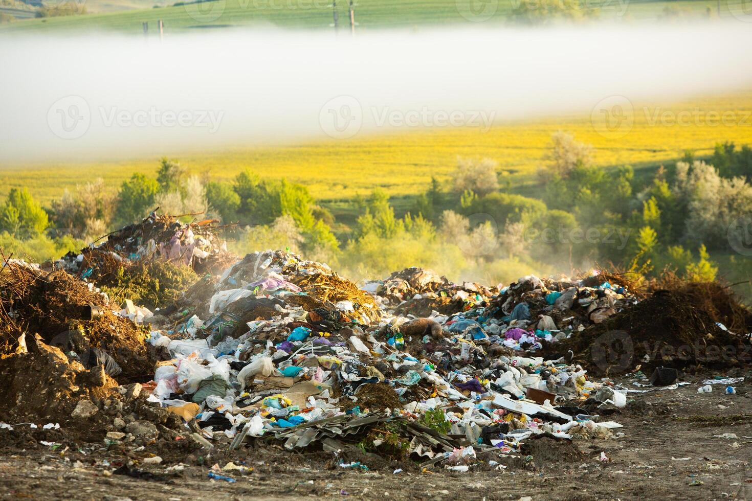 Pile of garbage in the forest. The concept of environmental pollution. photo