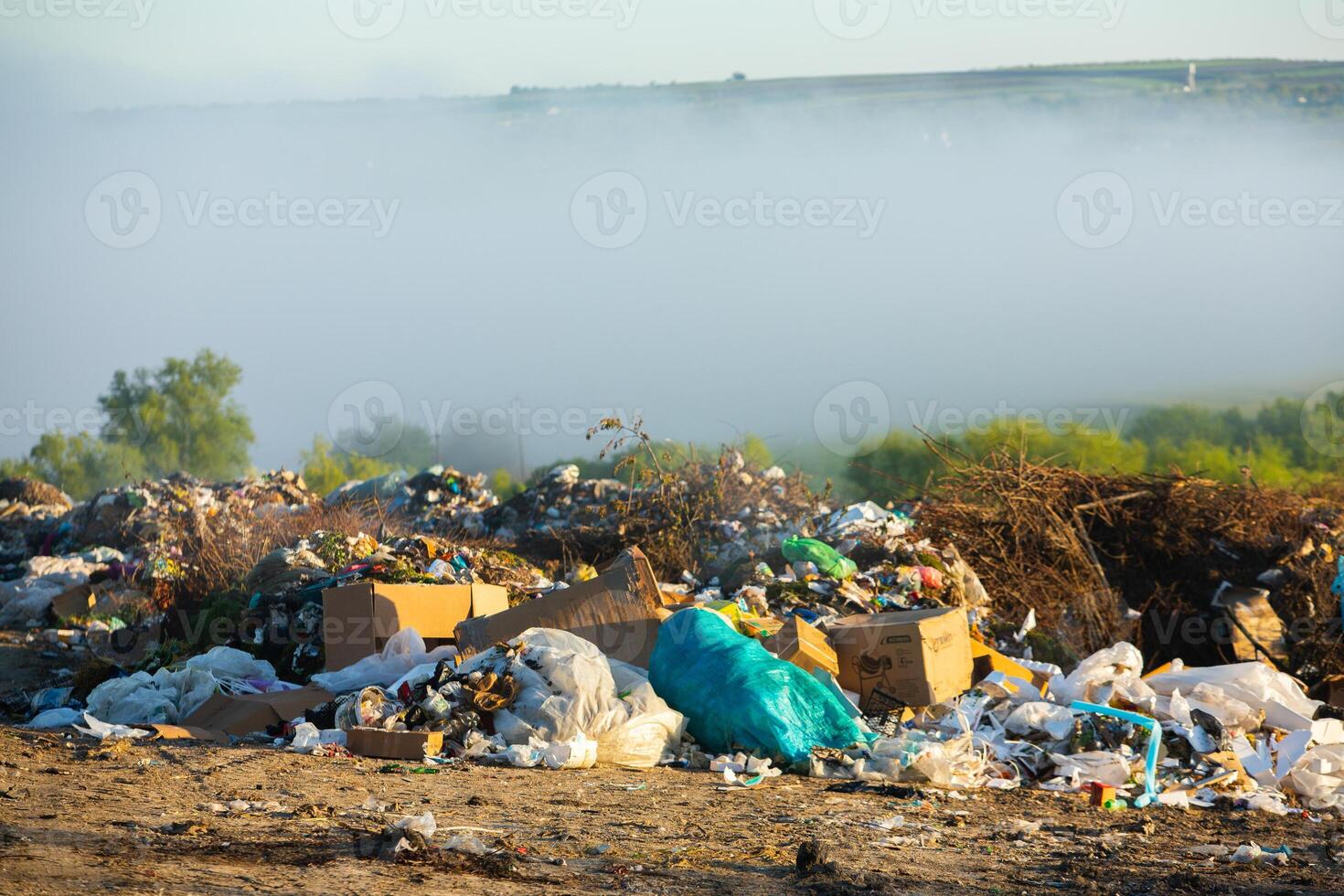 Pile of garbage in the forest. The concept of environmental pollution. photo