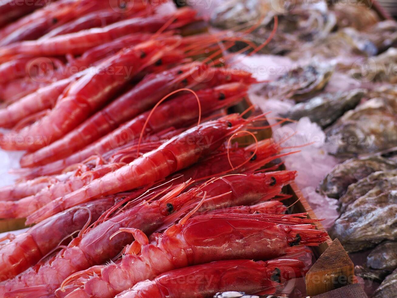 prawn red shrimps fresh fish seafood at Ortigia Syracuse sicily fish market Italy photo
