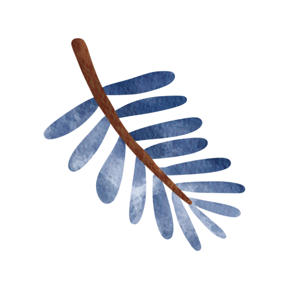 isolated watercolor winter set of twig and blue leaves png