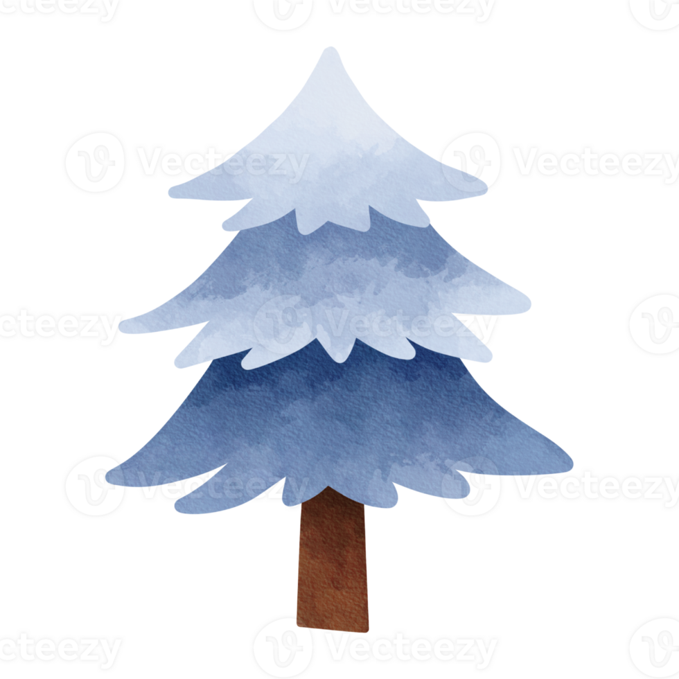 isolated watercolor winter set of winter tree or spruce png