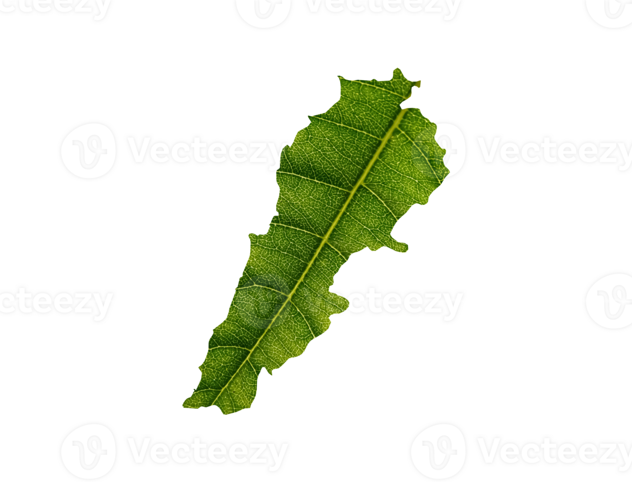 Lebanon map made of green leaves ecology concept png