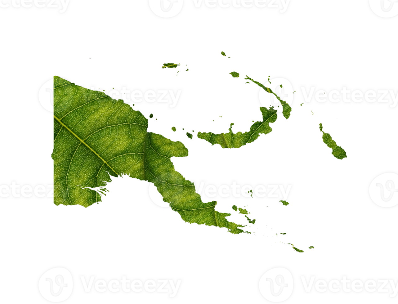 Papua New Guinea map made of green leaves ecology concept Papua New Guinea map made of green leaves ecology concept png