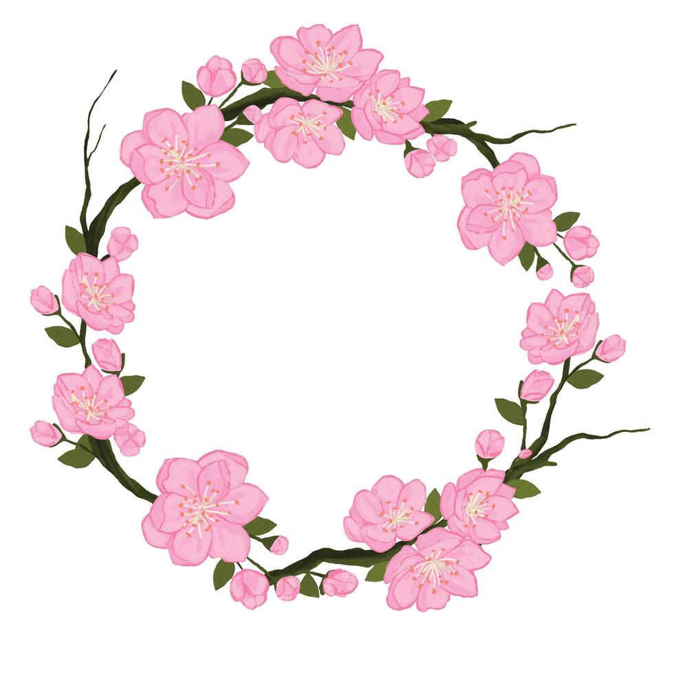 Sakura Japan cherry branch with blooming flowers vector