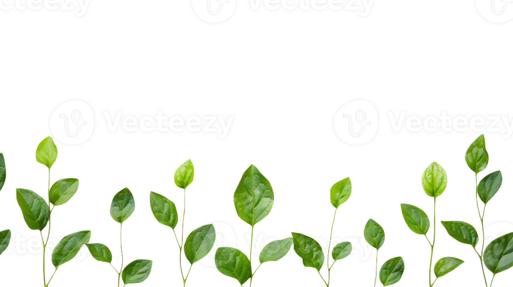Green Leaves on Craft Paper on the transparent background, Format png