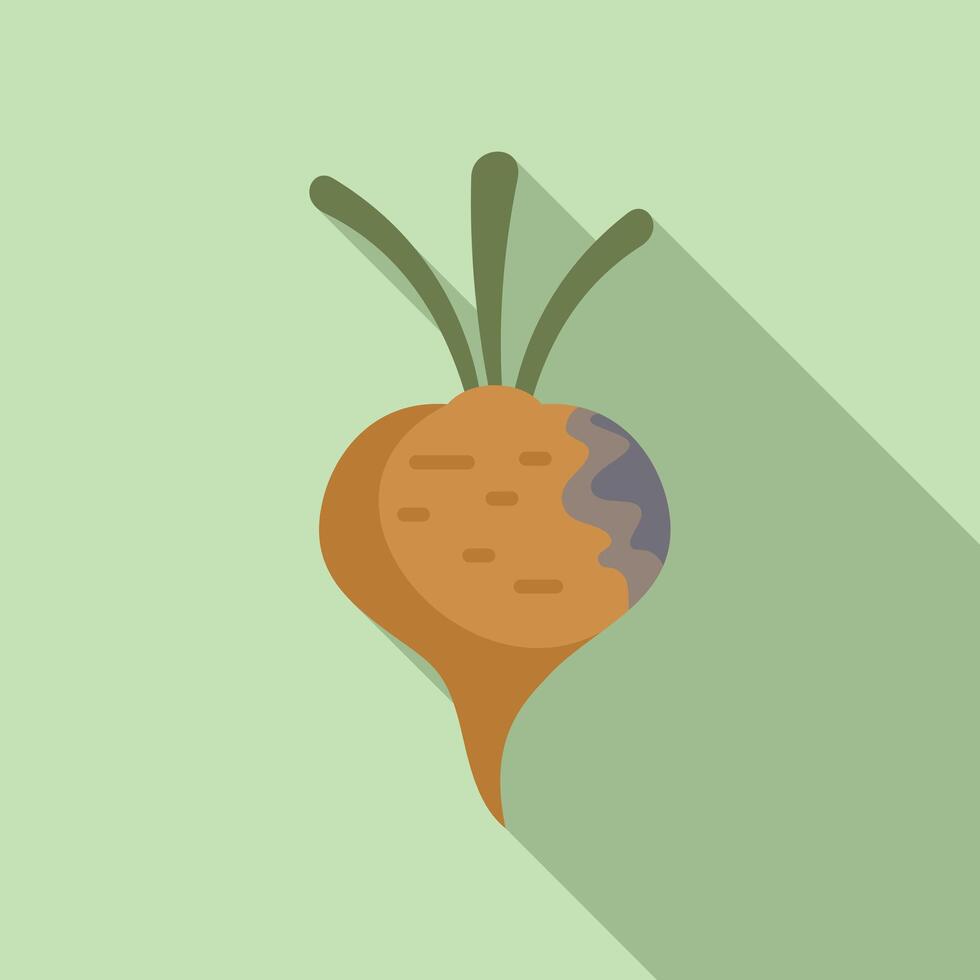 Flat design cartoon carrot illustration vector