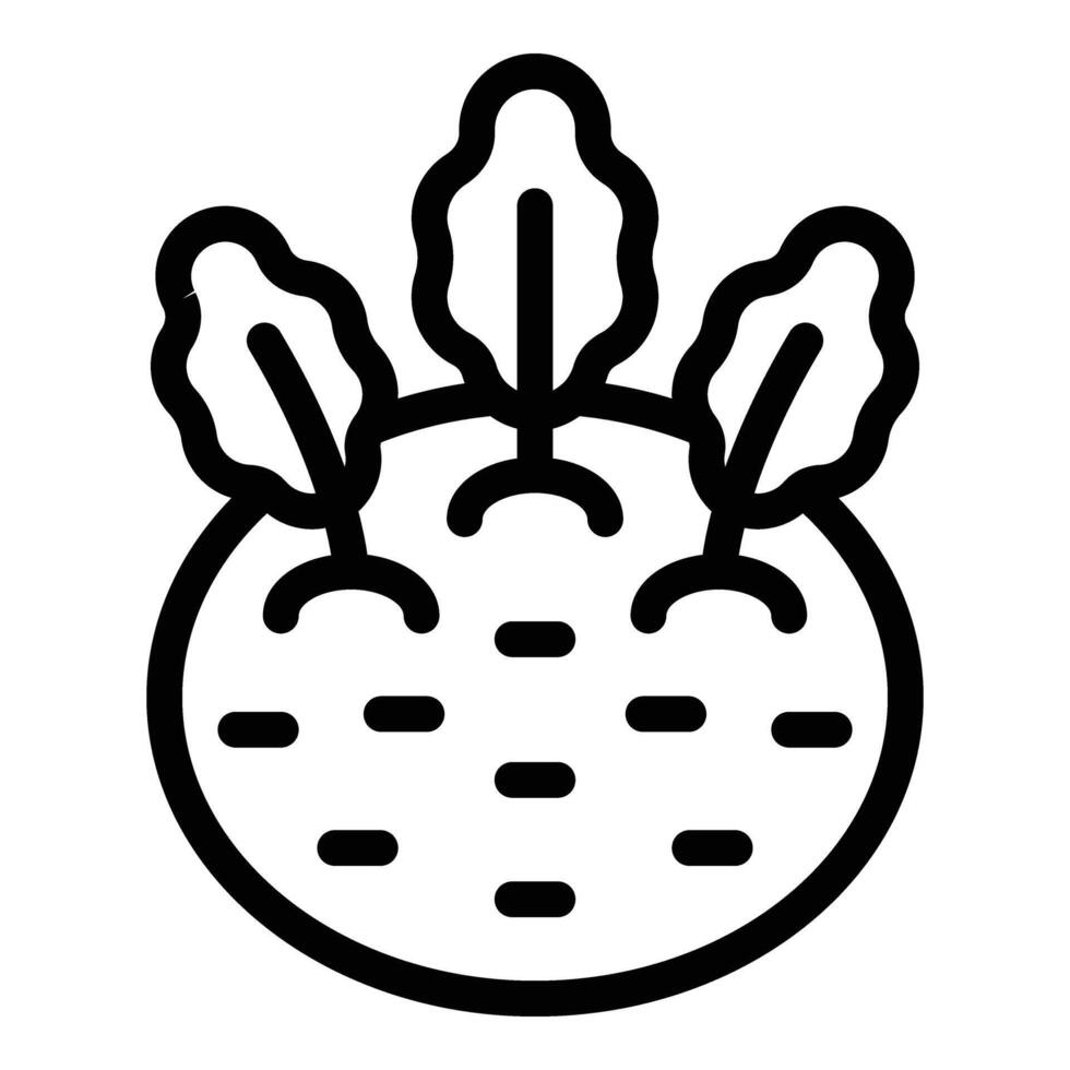 Kohlrabi icon outline . Turnip cabbage vector