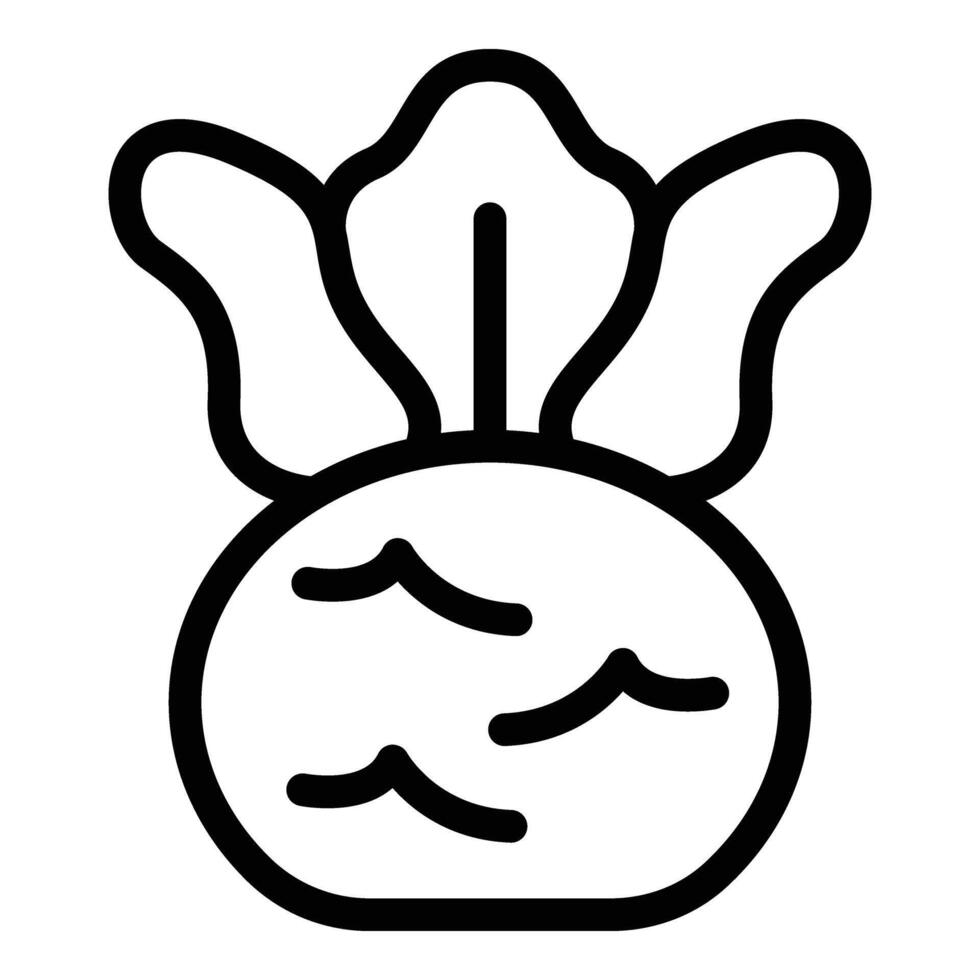 Fresh kohlrabi icon outline . Leafy turnip cabbage vector