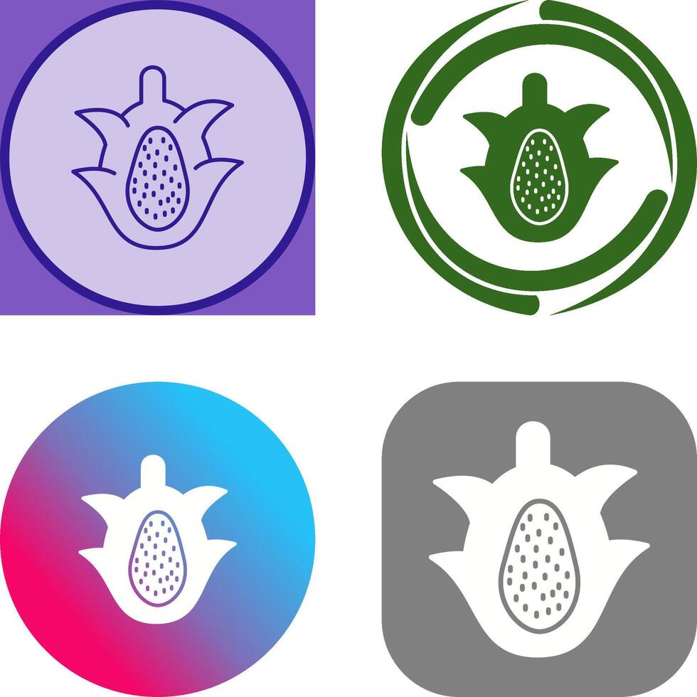 Dragon Fruit Icon Design vector