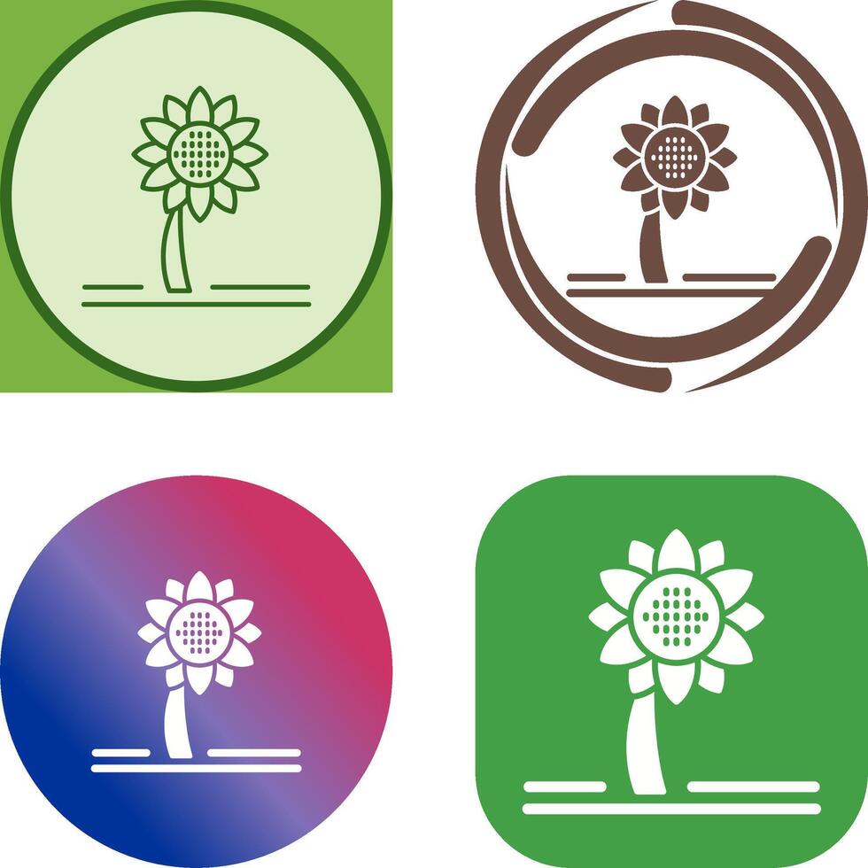 Sunflower Icon Design vector