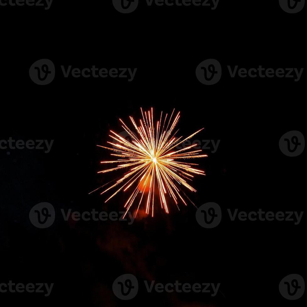 Fireworks in the night sky photo