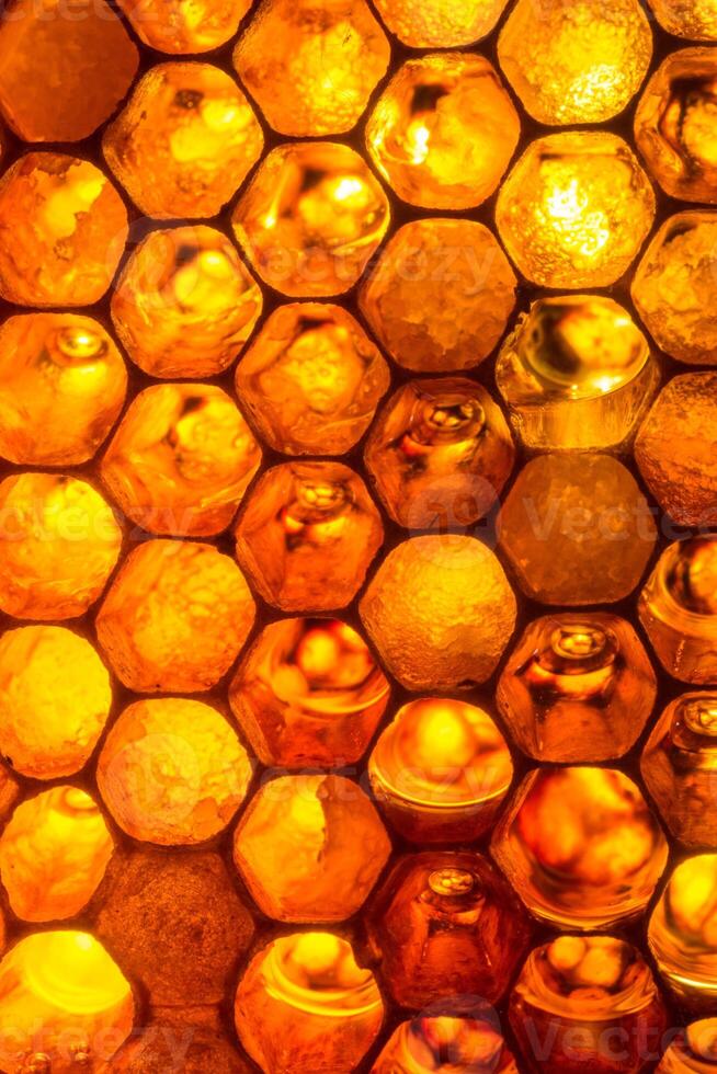Close up studio shot of organic honey in a honey-comb. photo