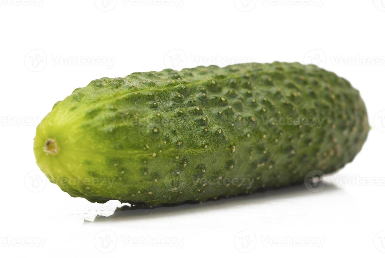 Fresh green cucumber photo
