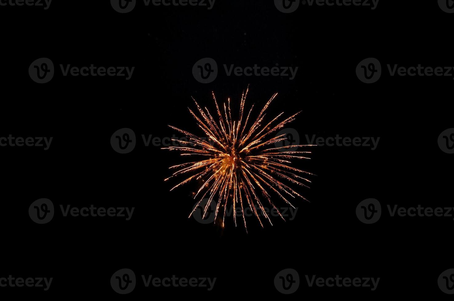 Fireworks in the night sky photo