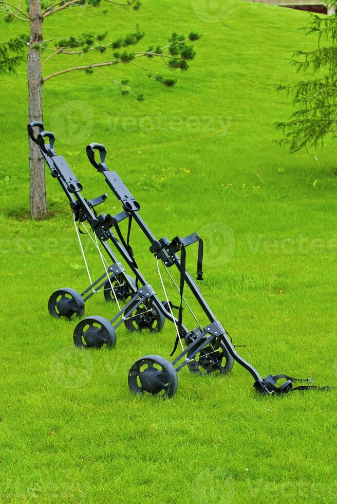 Game in the golf club against the background of the green juicy grass photo