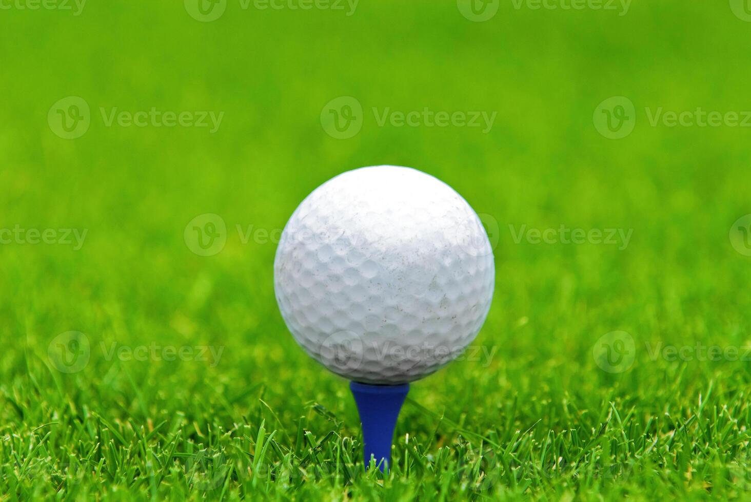 Game in the golf club against the background of the green juicy grass photo