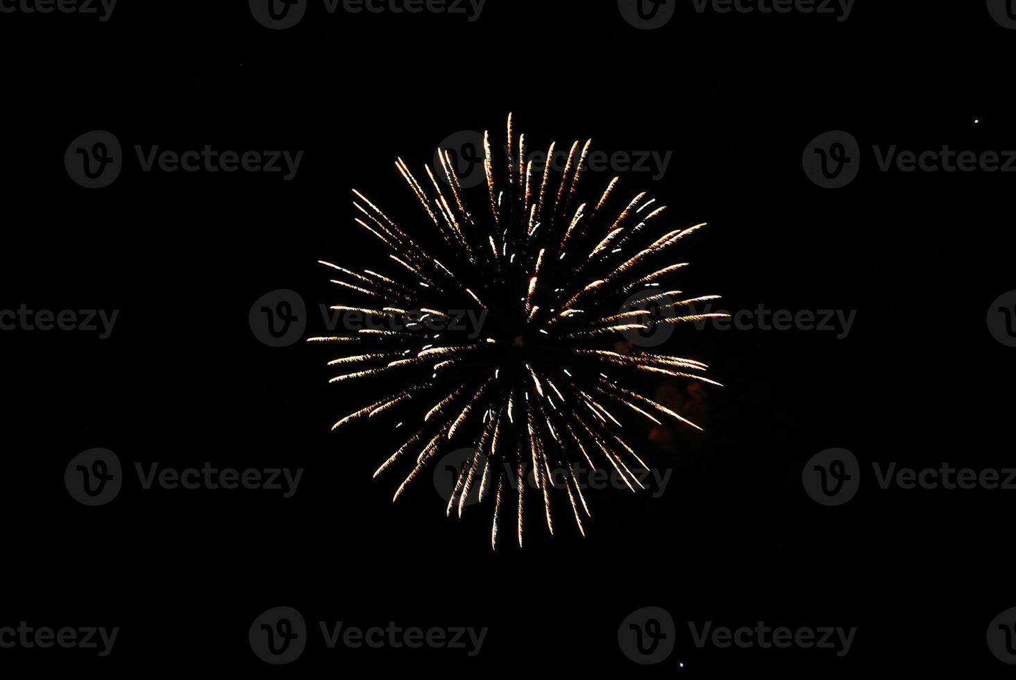 Color Firework in the night sky photo