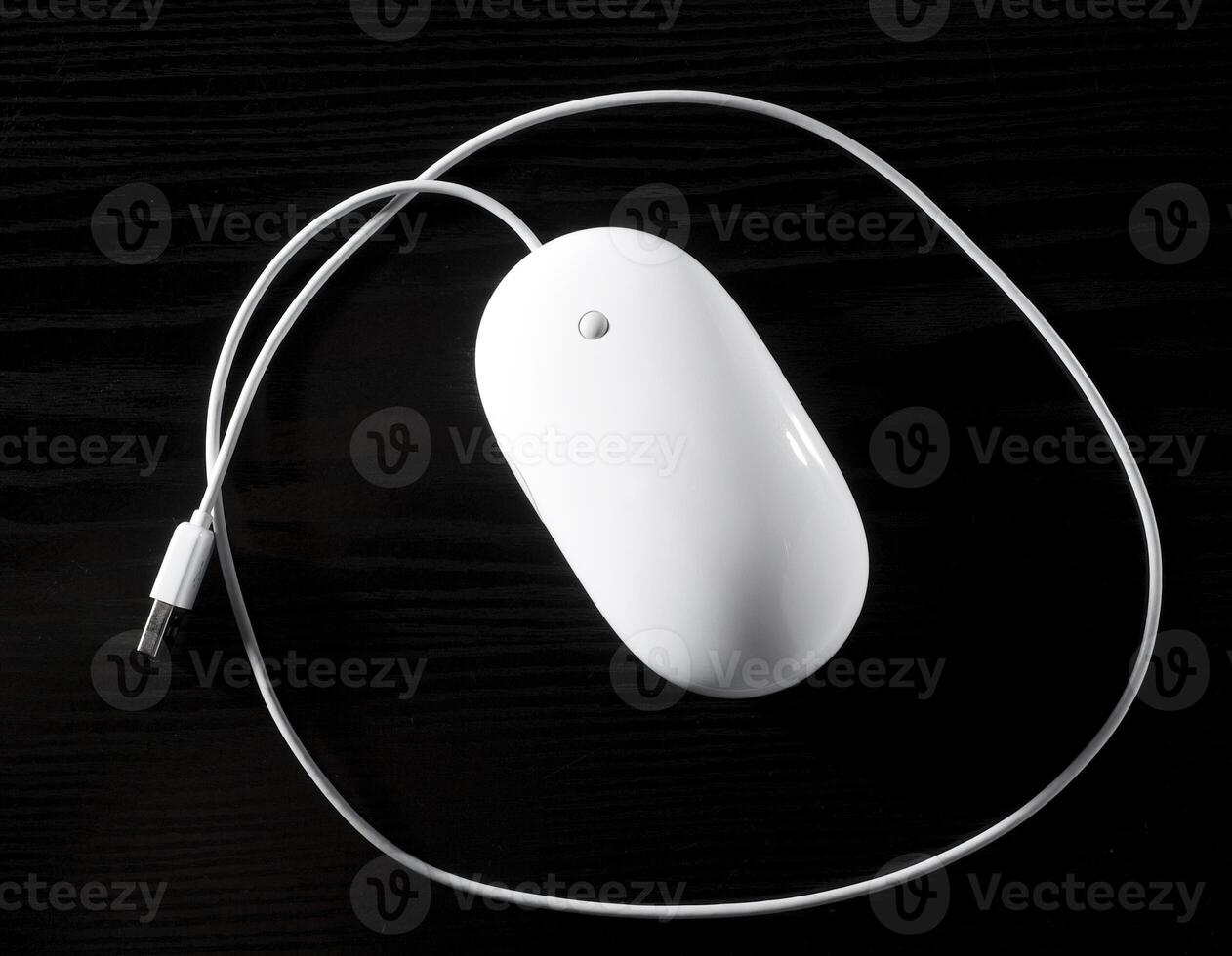 The white mouse for the computer photo