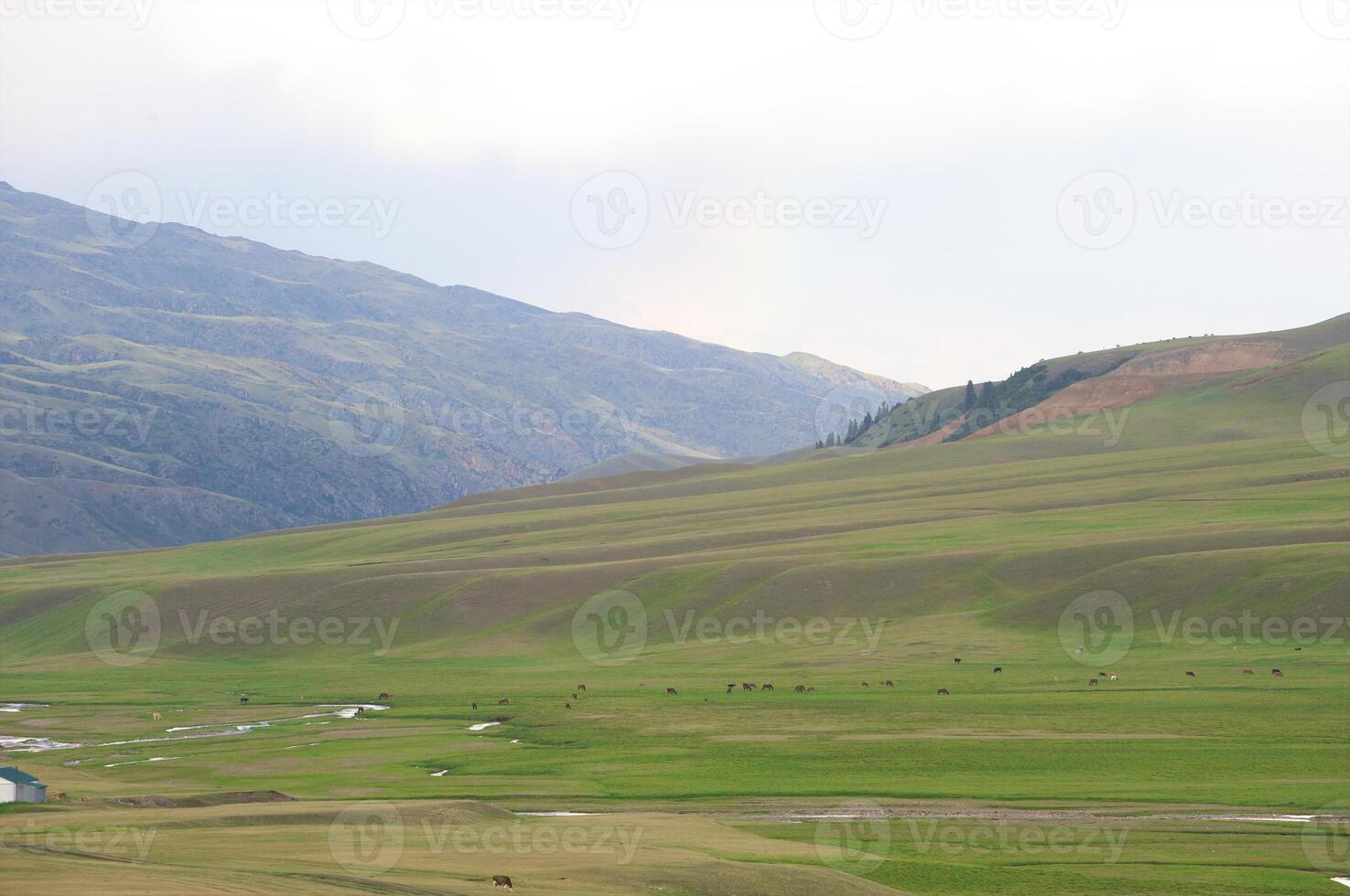 Assy Valley, Almaty Region photo