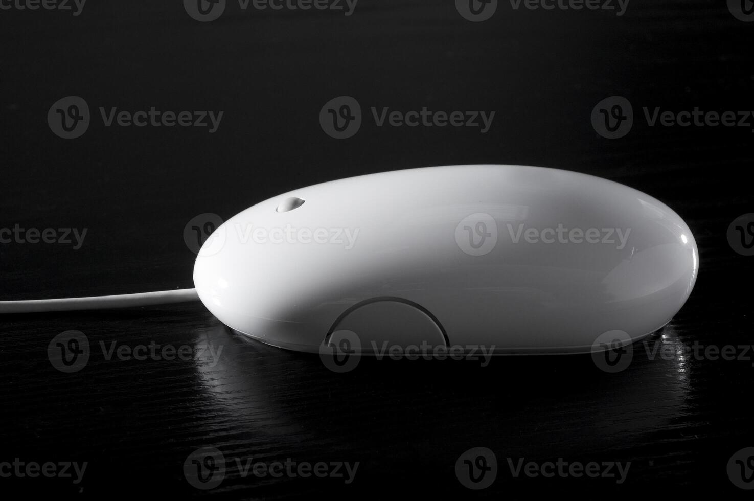 The white mouse for the computer photo