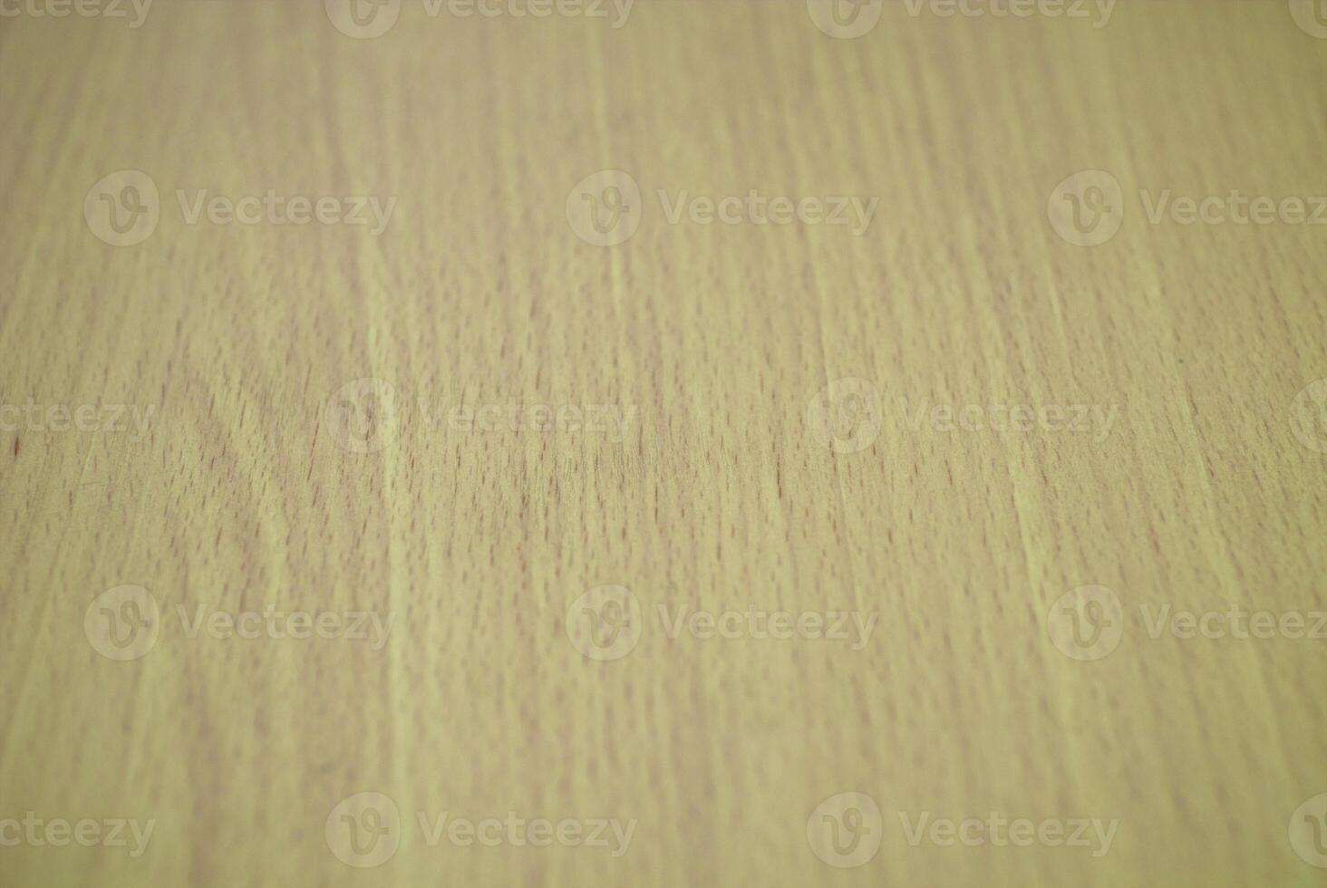 the texture of the tree photo