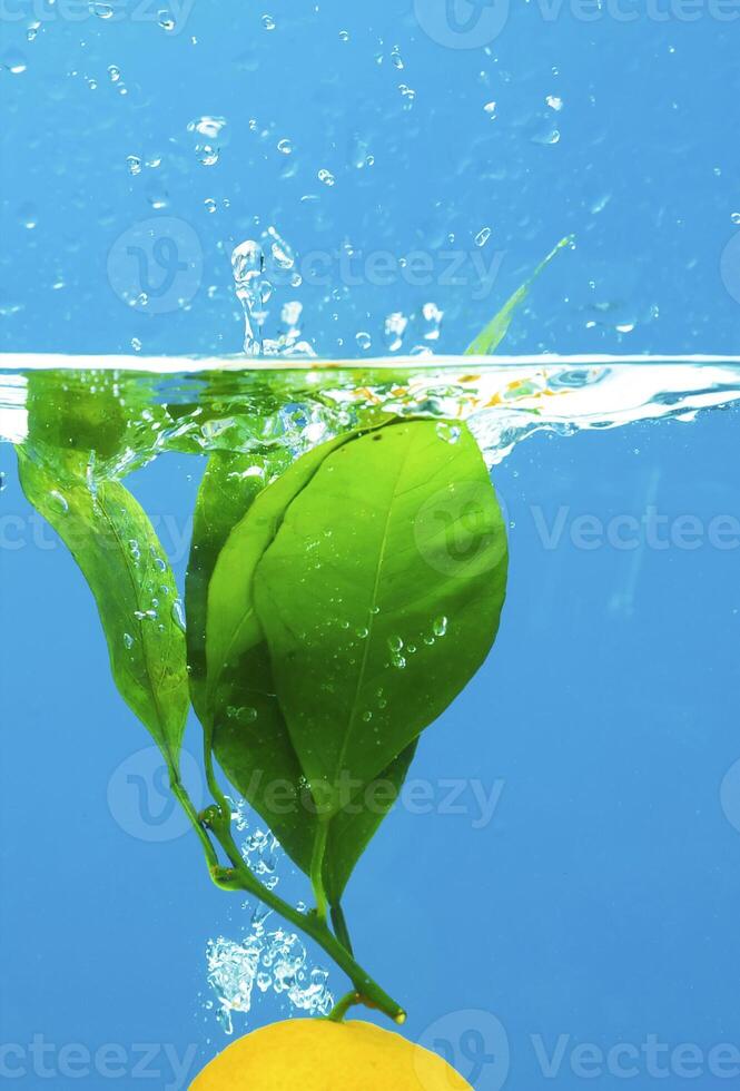fruit in water photo