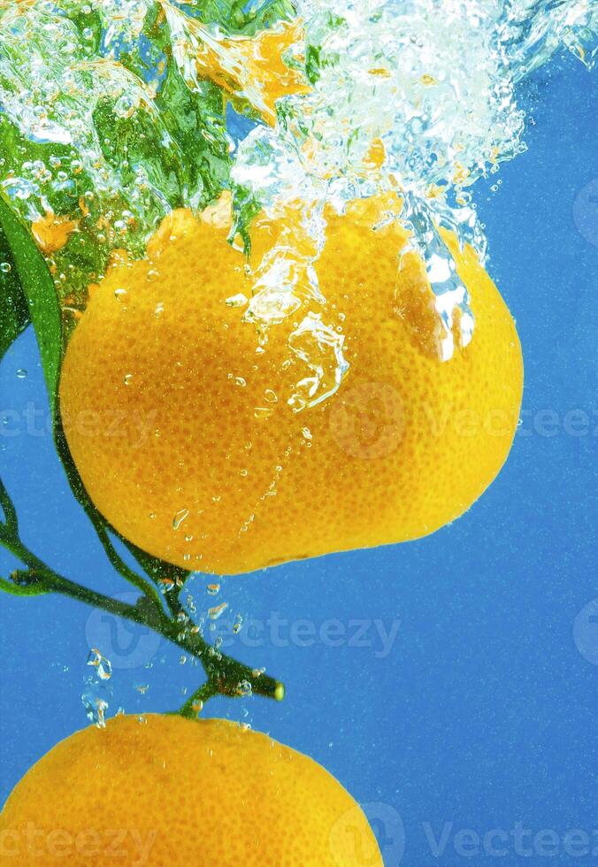 fruit in water photo