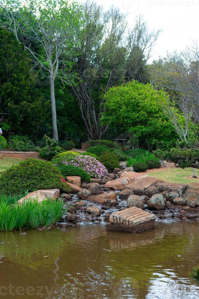 Toowoomba Carnival Of Flowers photo