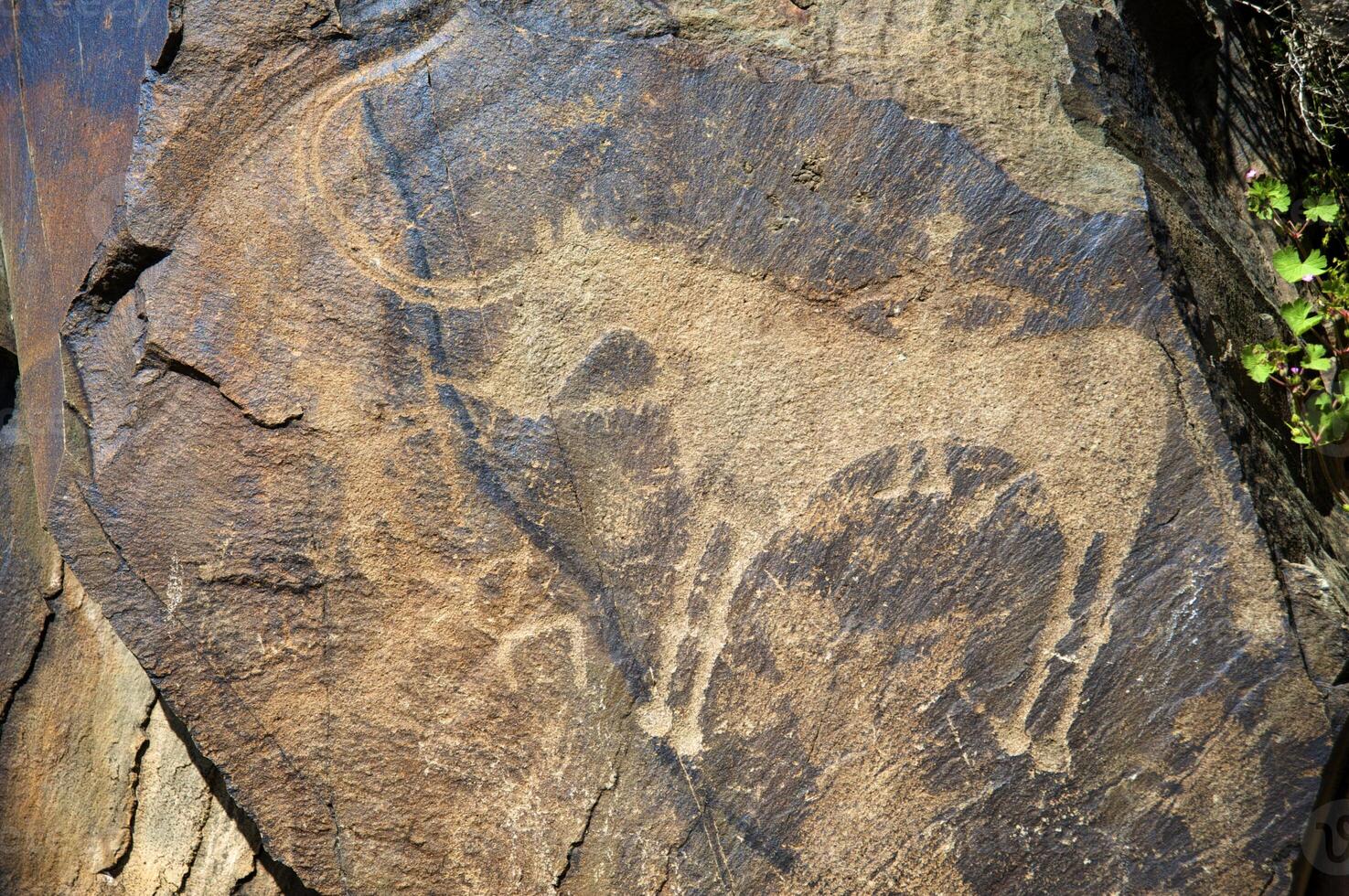 Petroglyphs within the Archaeological Landscape of Tamgaly. Almaty area, Kazakhstan photo