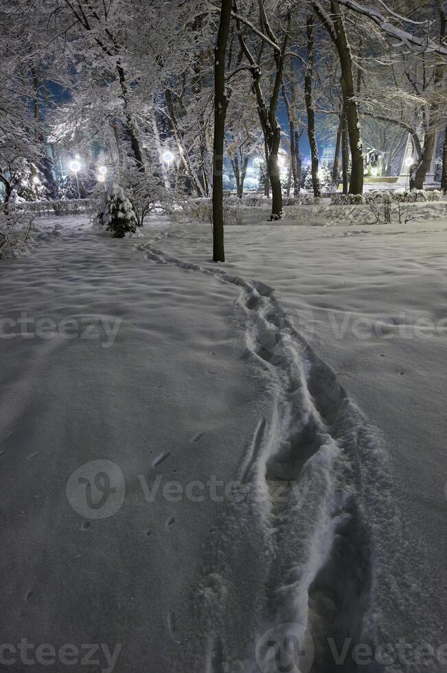 Winter city park photo