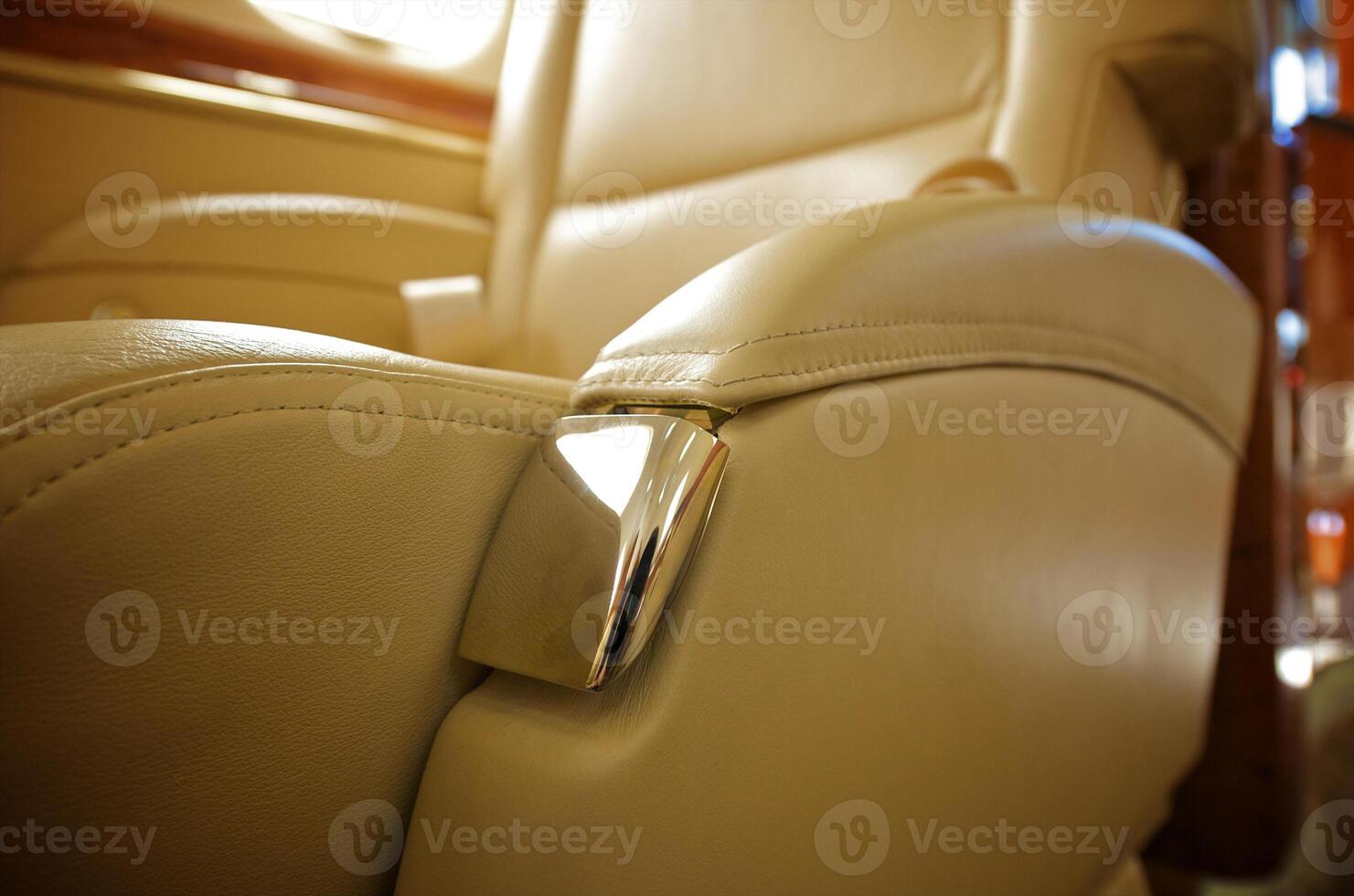 VIP Business Interior Jet Airplane photo