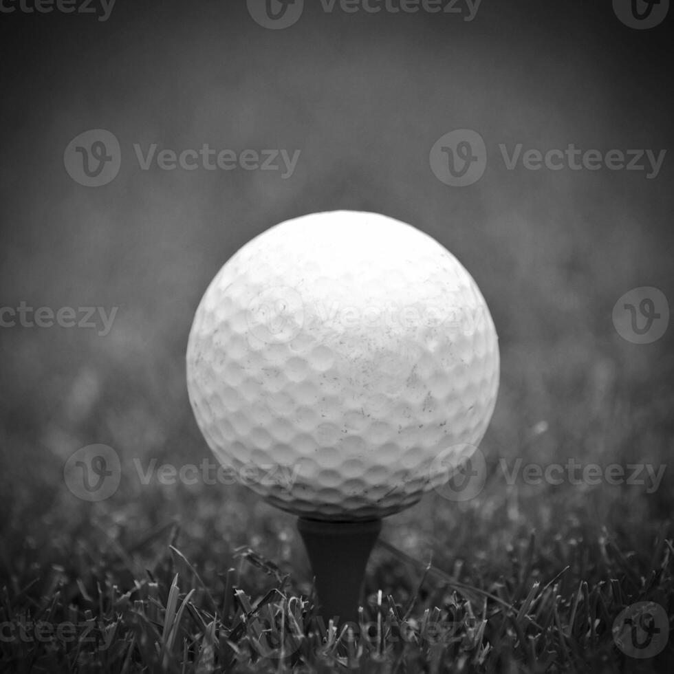 Game in the golf club against the background of the green juicy grass photo