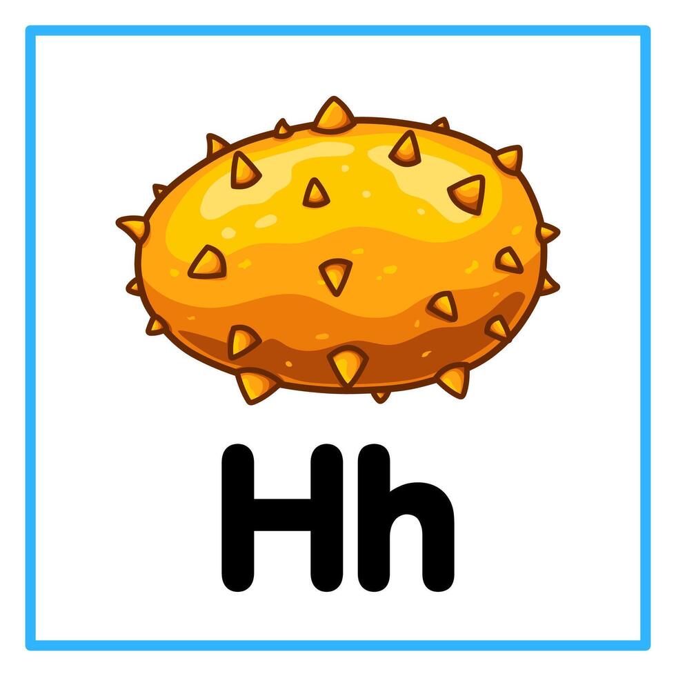 fresh horned melon alphabet h illustration vector