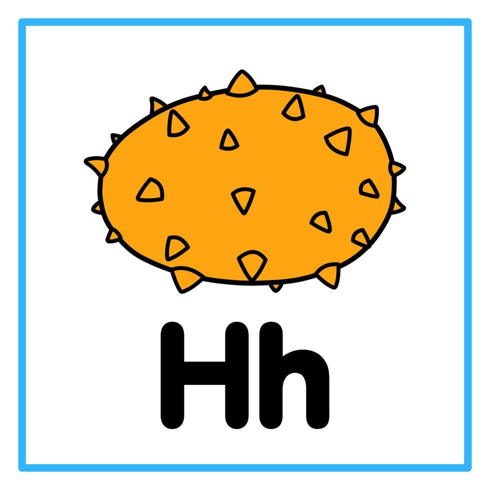 flat horned melon alphabet h illustration vector