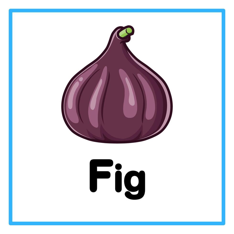 fig fruit alphabet illustration vector