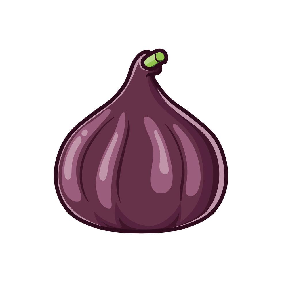 fig fruit illustration vector