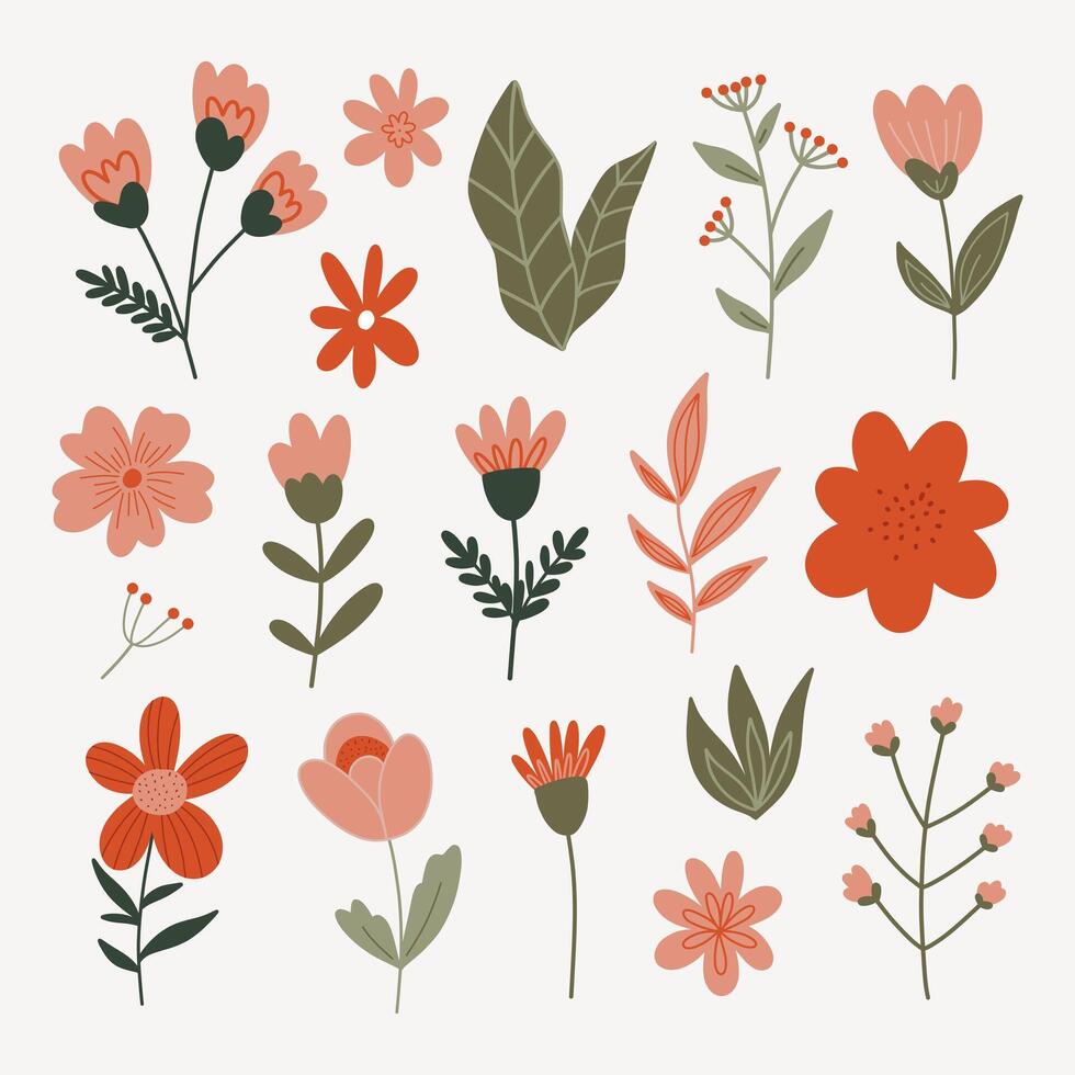 Set of modern floral elements.Flower and green leaves.Hand draw botanical. vector