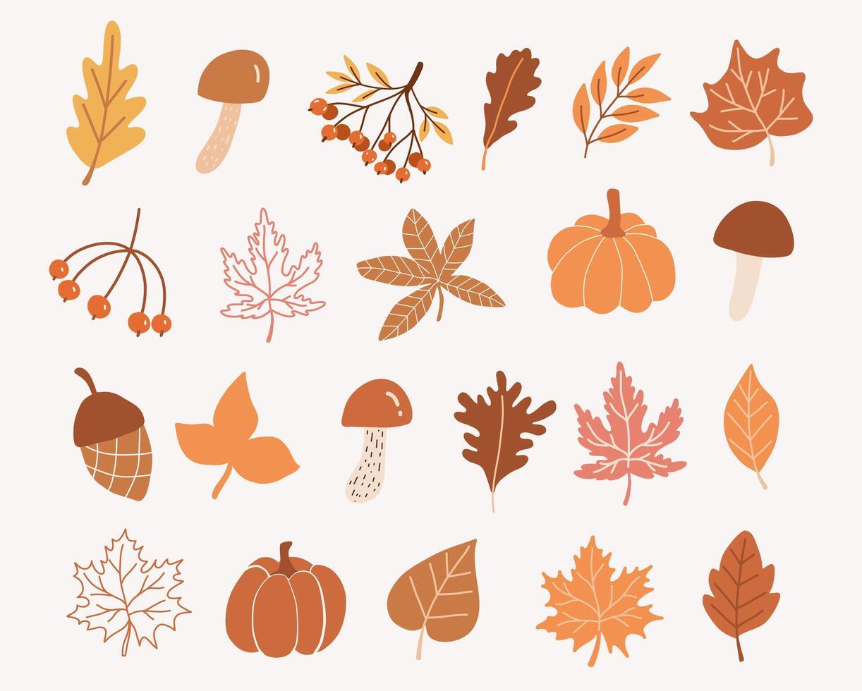 Set of autumn elements.Autumn leaves.Fall.Hand drawn autumn leaves vector
