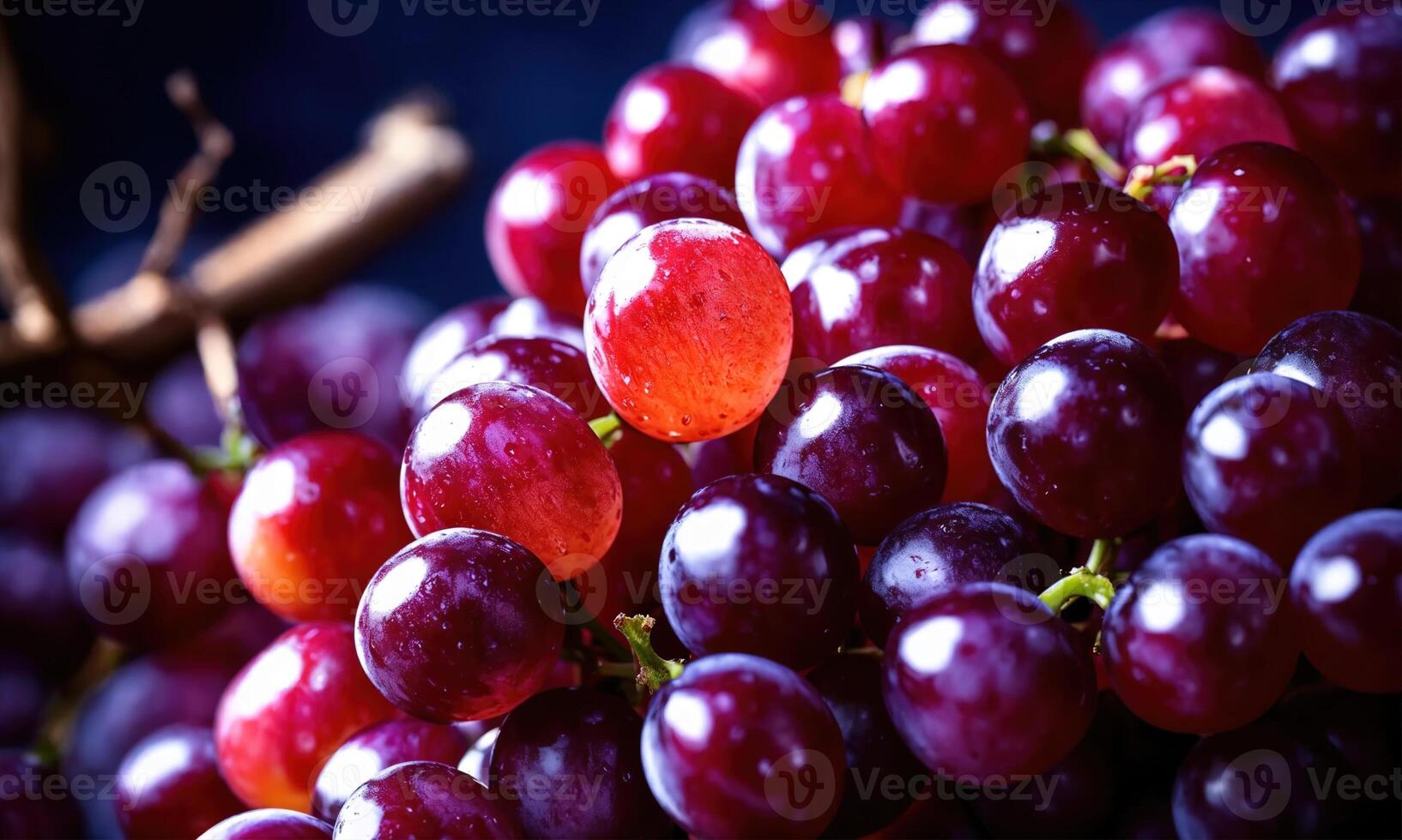 AI generated Ripe red grapes on vineyards in autumn harvest. ai generative photo