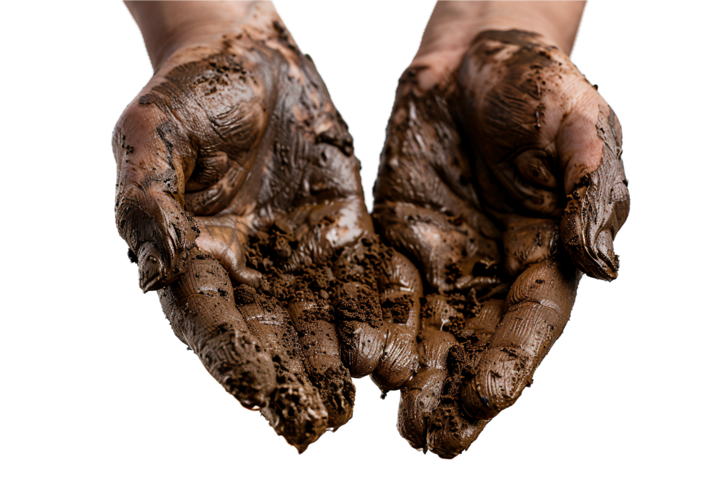 AI generated Dirty Hands Covered in Soil png 45478278 PNG