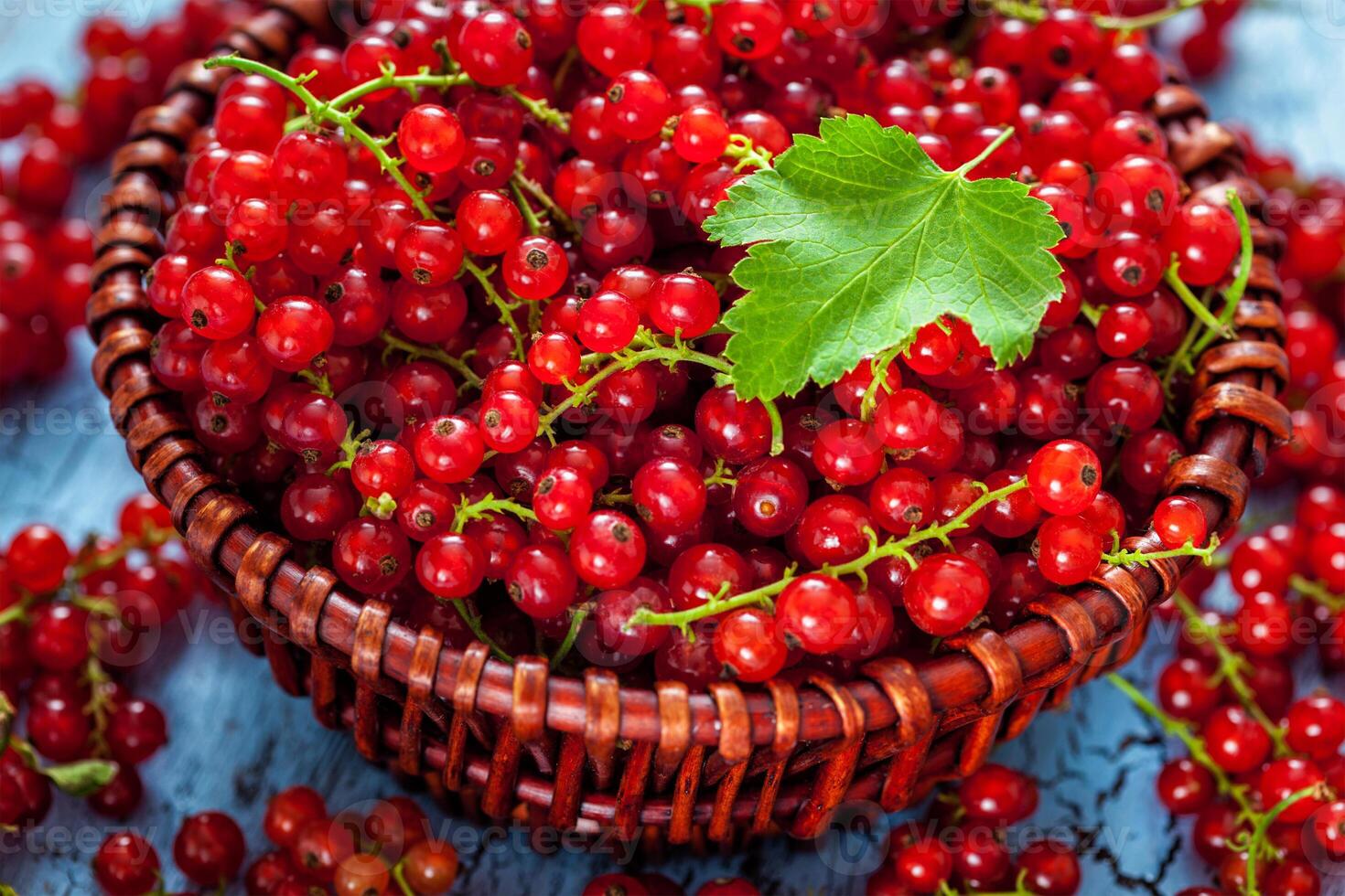 Redcurrant in wicker bowl on the table photo