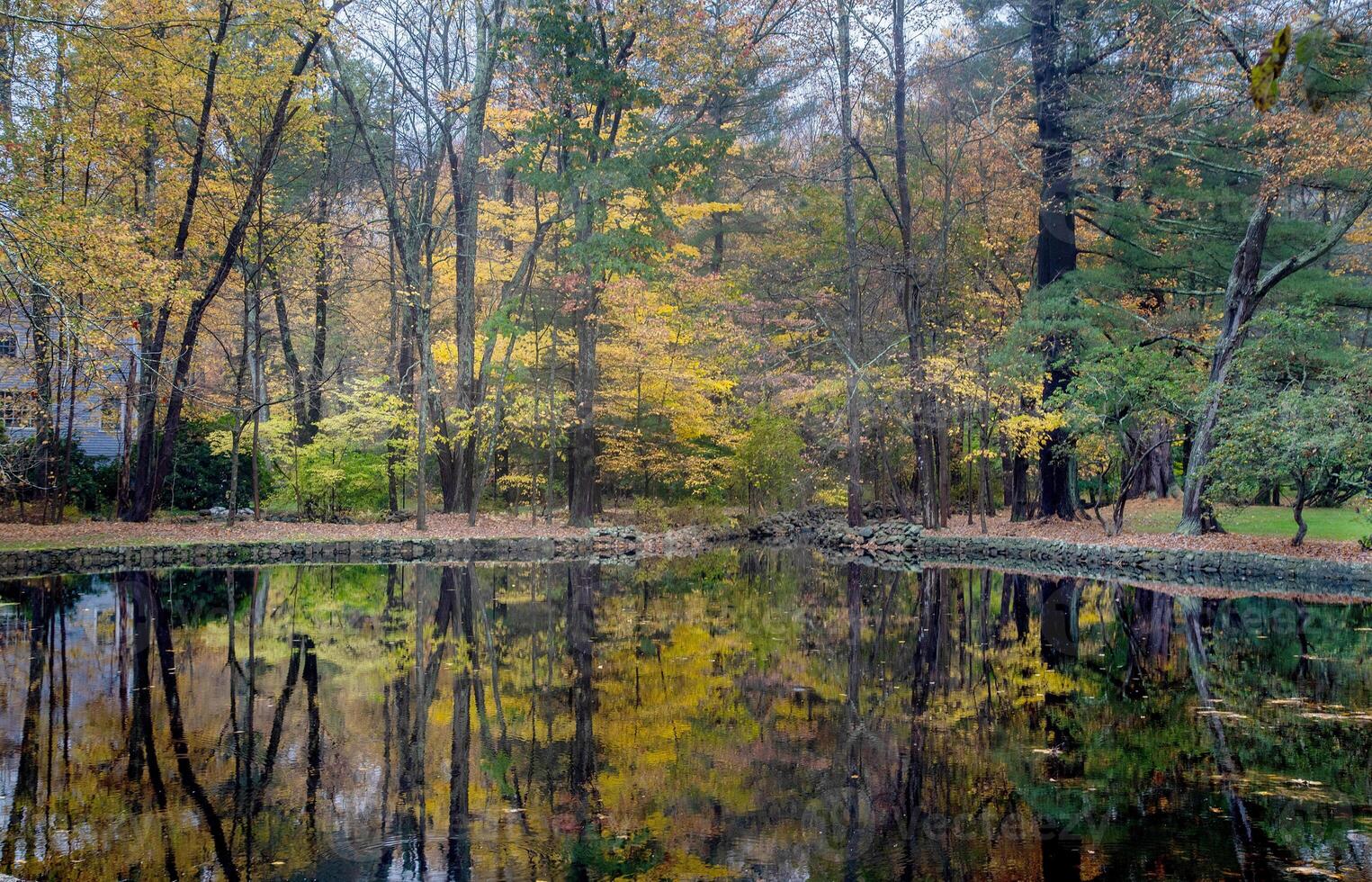 Connecticut Fall Colors photo