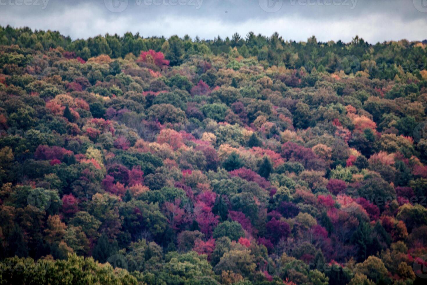 Pennsylvania Fall Colors photo