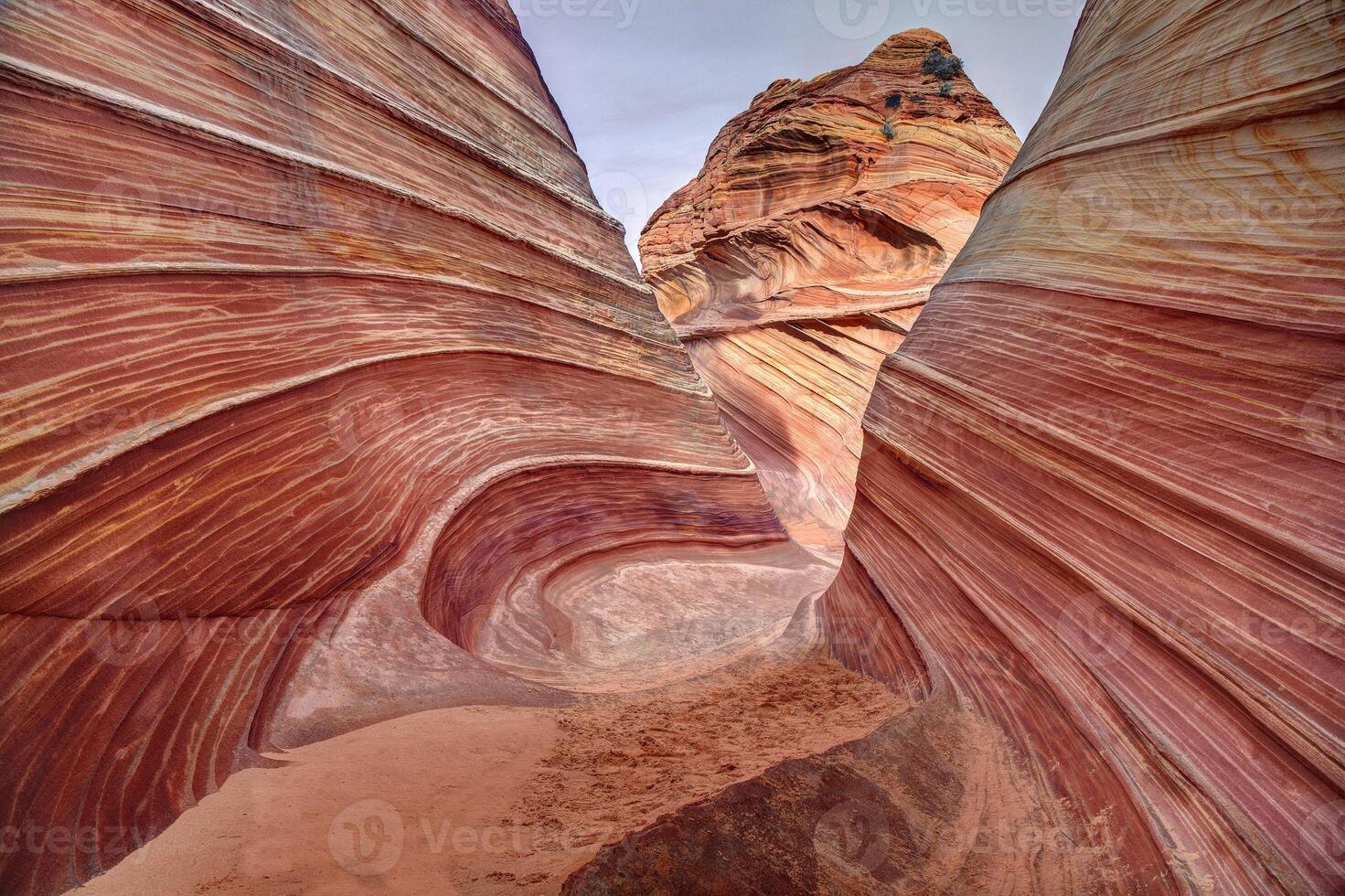 The Wave Vermilion Cliffs photo
