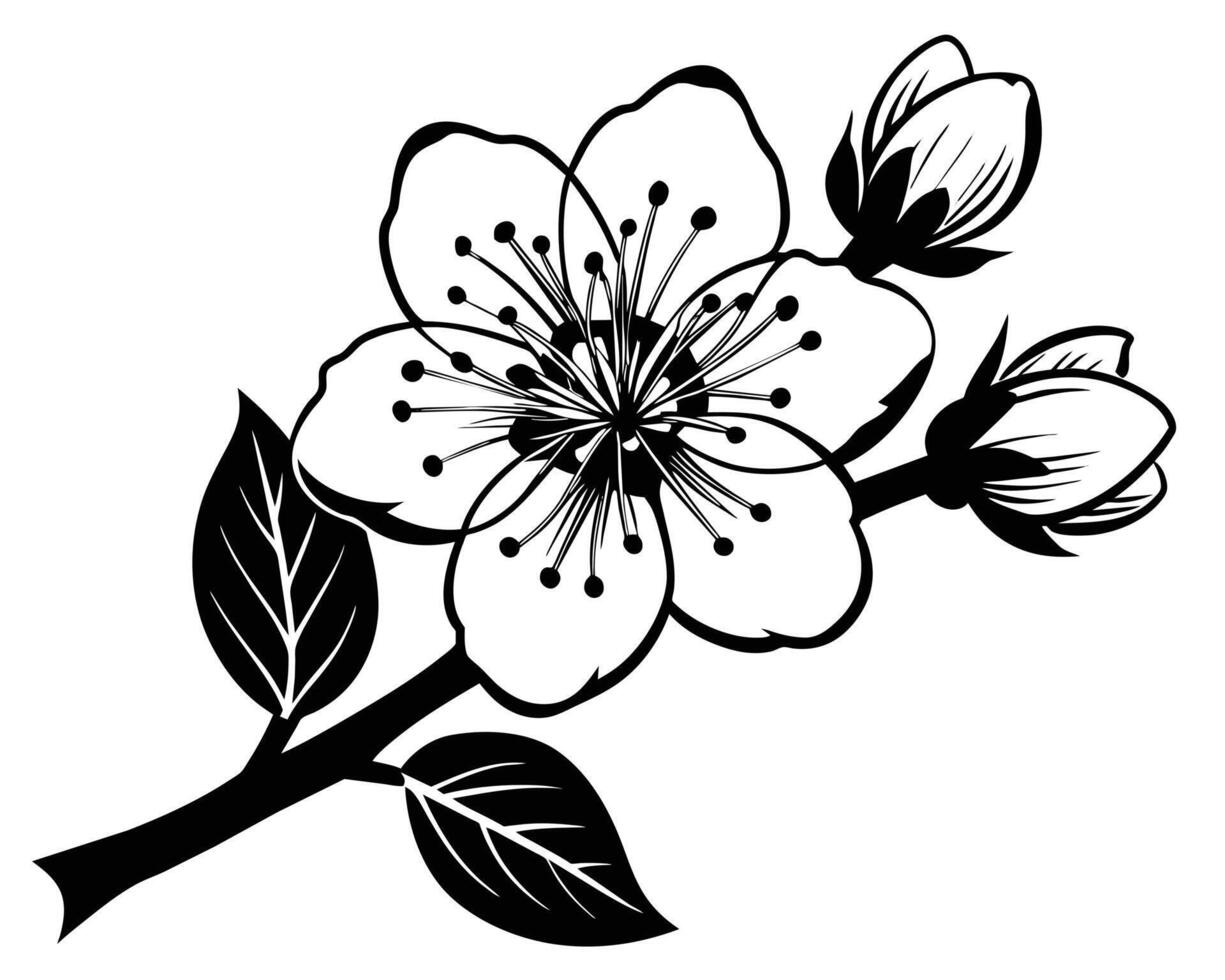 Black And White Flower Branch Ornament vector