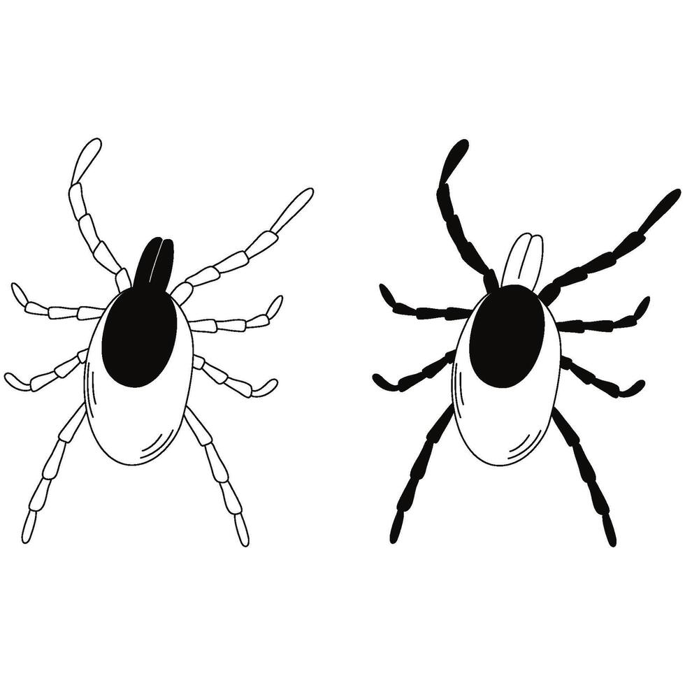 Black and white tick insect. Tick icon. Mite sign isolated on white background. vector