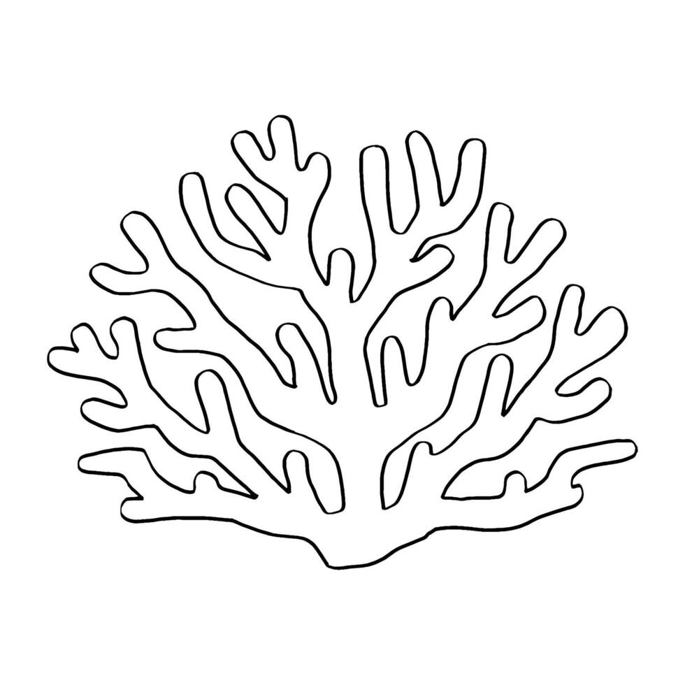 sea white coral, coral bleached lifeless, isolated on white background vector