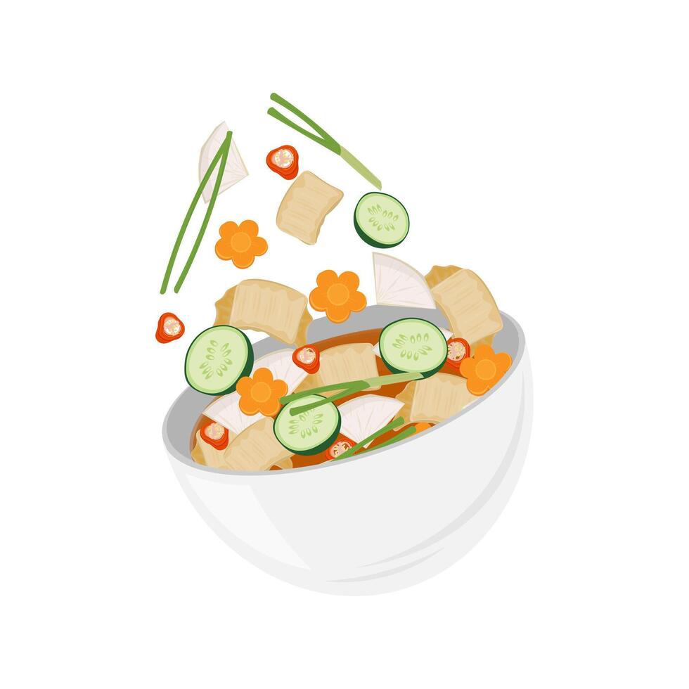 Levitation nabak kimchi or korean water kimchi vector
