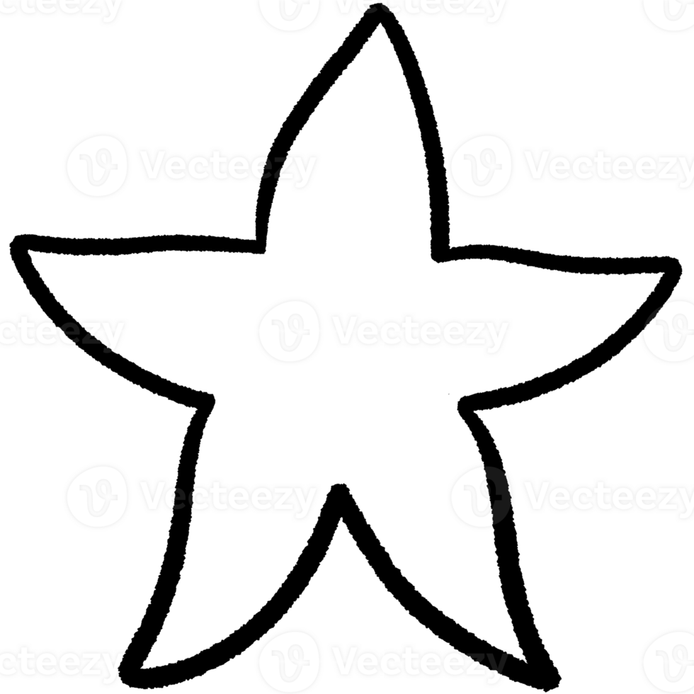 Coral line,Shell line,seaweed Black and white outline white color in shape and black line png