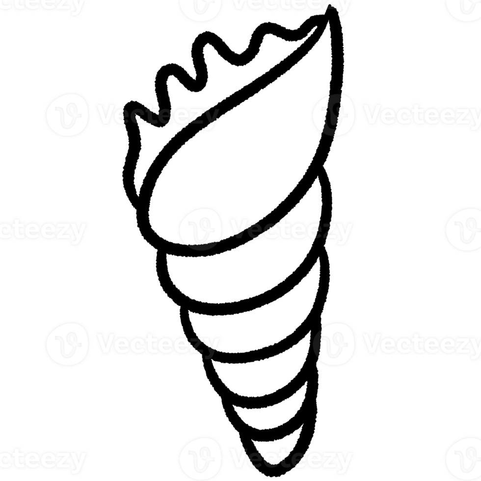 Coral line,Shell line,seaweed Black and white outline white color in shape and black line png